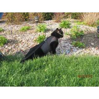 Cat Harness Y8797