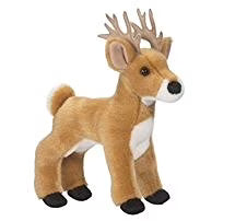 White Tail Deer B26922