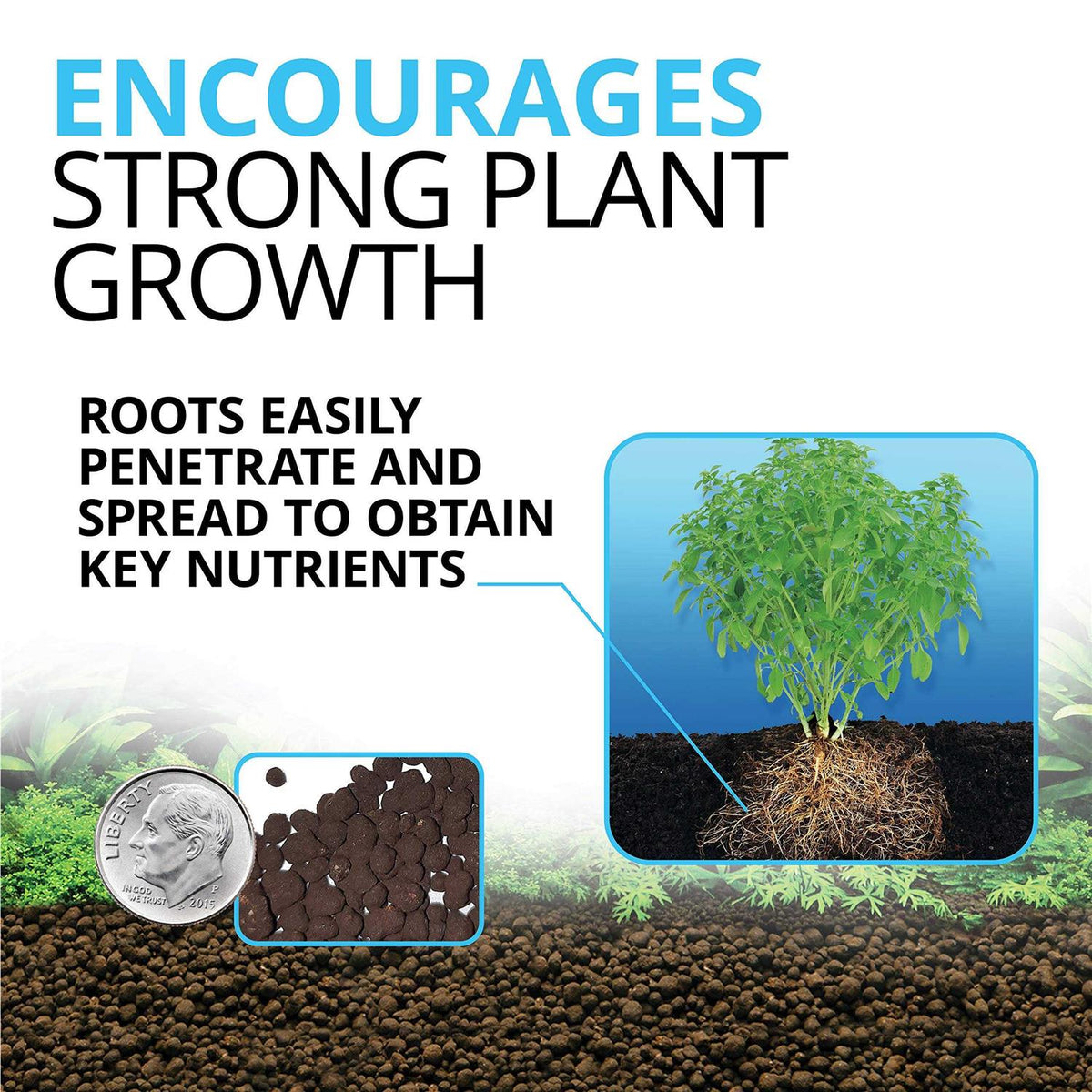 Plant and Shrimp Stratum O687608