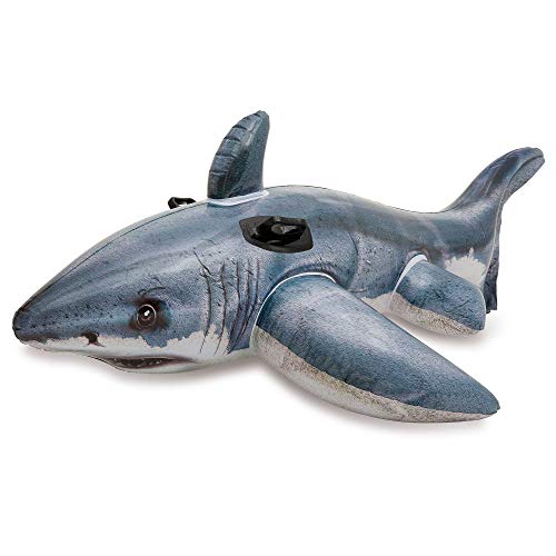 Inflatable Pool Float D25821