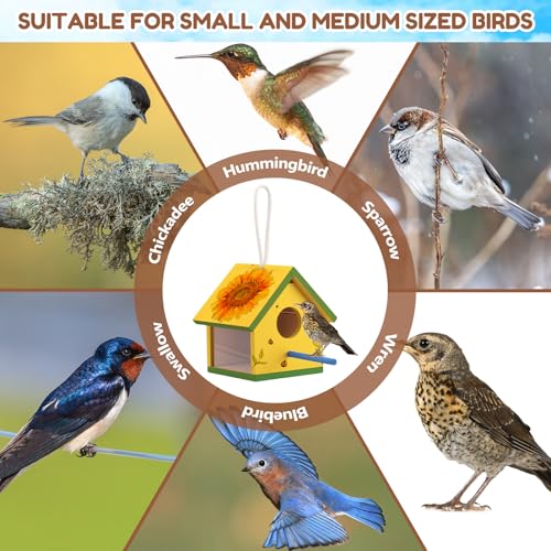 4 Set Wooden Birdhouse Kits with Lanyard and Post P4224