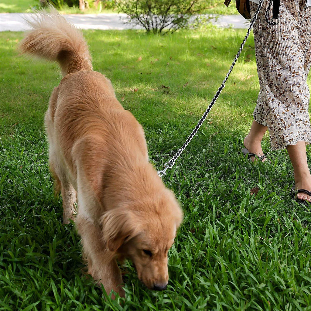 Chew Proof Metal Chain Dog Leash for Medium Large Dogs M42100
