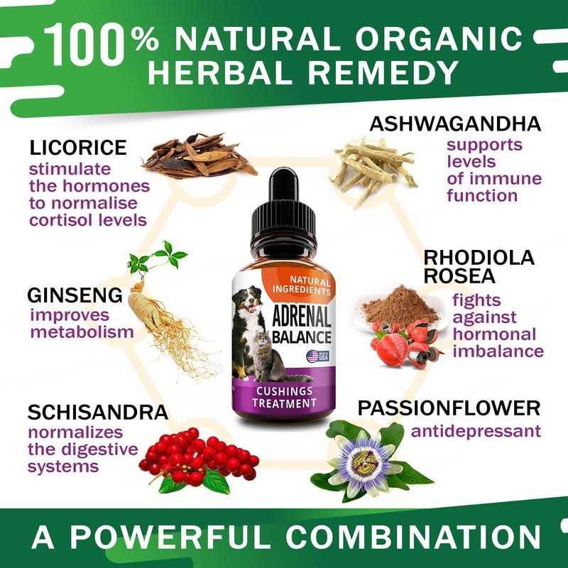 Adrenal Balance for Dogs and Cats V982