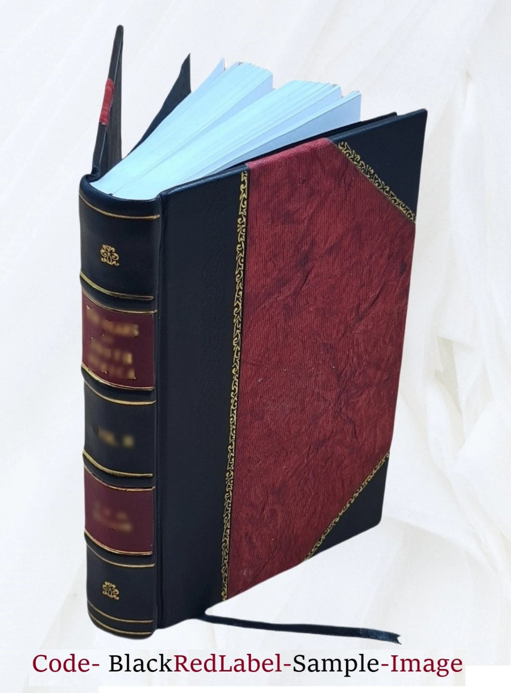 Leather Bound Book N8970