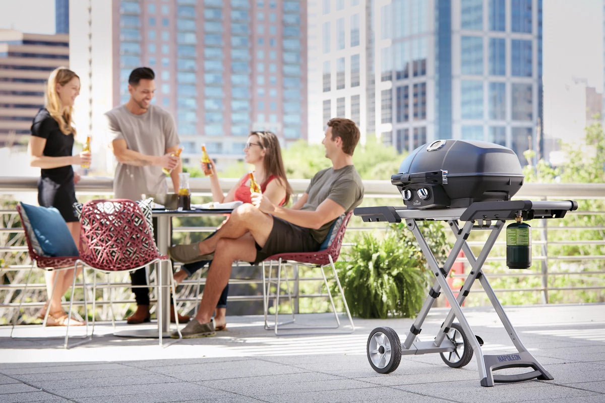 Portable Propane Gas Grill with Scissor Cart, Black N137042