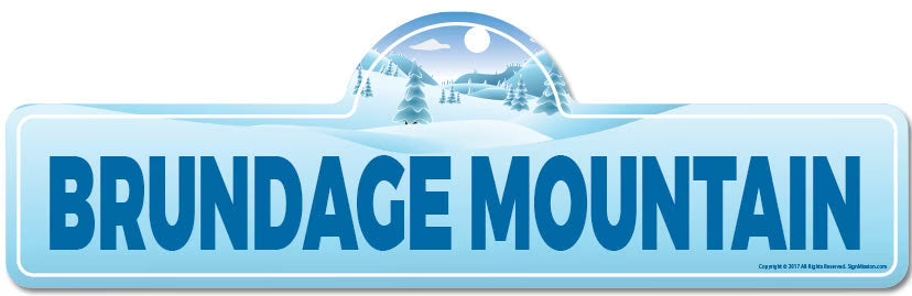 Skiing Skier Snowboarder Décor Sign E754